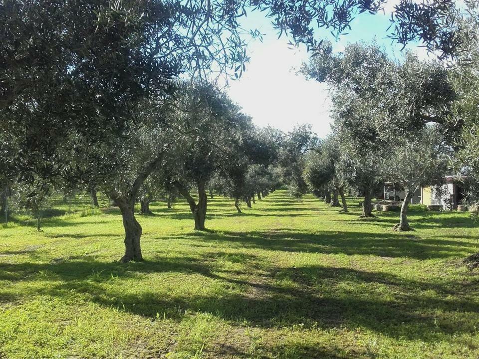 Agriturismo Sa Ruda Cabras Exterior foto