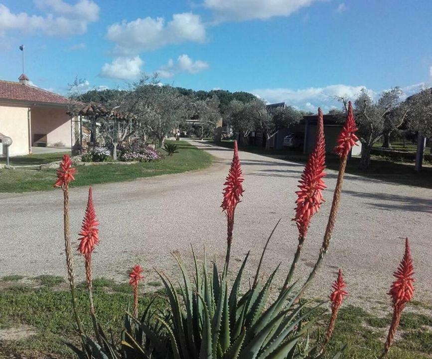 Agriturismo Sa Ruda Cabras Exterior foto