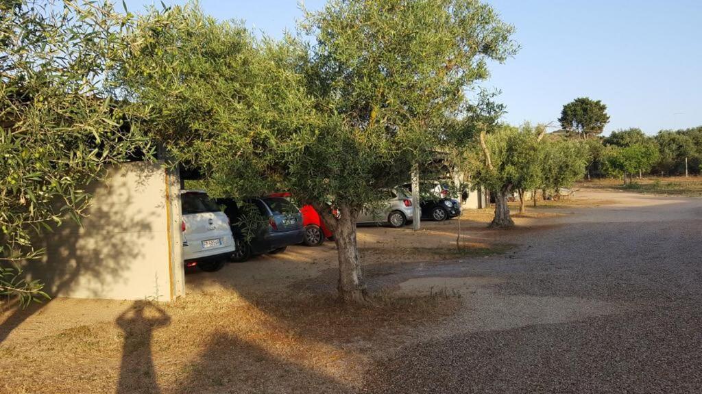 Agriturismo Sa Ruda Cabras Exterior foto